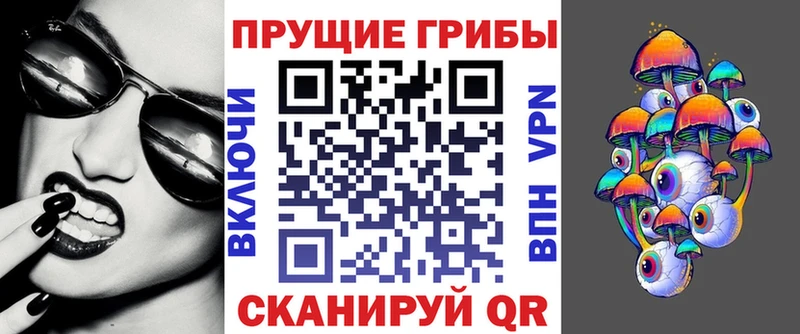 Купить  Пойковский  Псилоцибиновые грибы Psilocybine cubensis 
